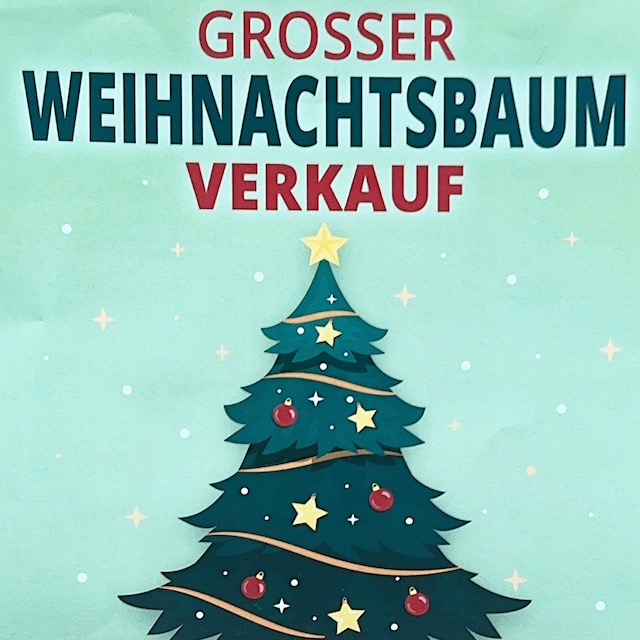 Weihnachtsbäume aus Weyer