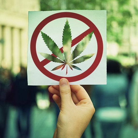 Umgang mit Cannabis im Bürgerhaus!