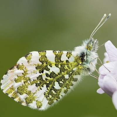 Einzigartige Natur genießen