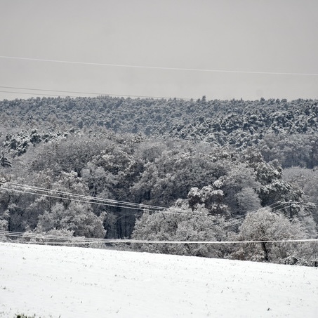 Leise rieselte der Schnee…